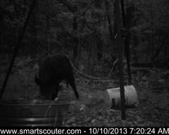 BedandBreakfast-NewFeeder_10102013_5813285.jpg